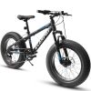 A20316 20 Inch Fat Tire Bike Adult/Youth Full Shimano 7 Speed Mountain Bike, Dual Disc Brake, High-Carbon Steel Frame, Front Suspension, Mountain Trai