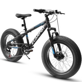 A20316 20 Inch Fat Tire Bike Adult/Youth Full Shimano 7 Speed Mountain Bike, Dual Disc Brake, High-Carbon Steel Frame, Front Suspension, Mountain Trai (Color: as Pic)