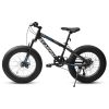 A20316 20 Inch Fat Tire Bike Adult/Youth Full Shimano 7 Speed Mountain Bike, Dual Disc Brake, High-Carbon Steel Frame, Front Suspension, Mountain Trai