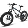 A20316 20 Inch Fat Tire Bike Adult/Youth Full Shimano 7 Speed Mountain Bike, Dual Disc Brake, High-Carbon Steel Frame, Front Suspension, Mountain Trai